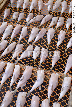 フグの干物　 24454575