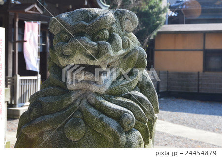 狛犬像（石浦神社／石川県金沢市本多町） 24454879