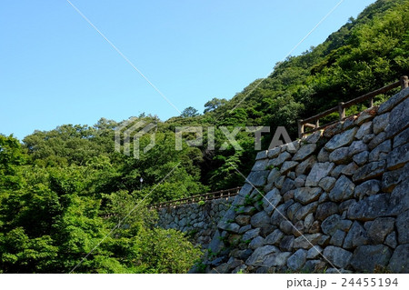 鳥取城跡の風景 24455194