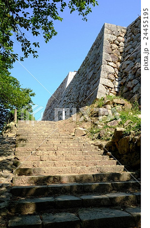 鳥取城跡の風景 24455195