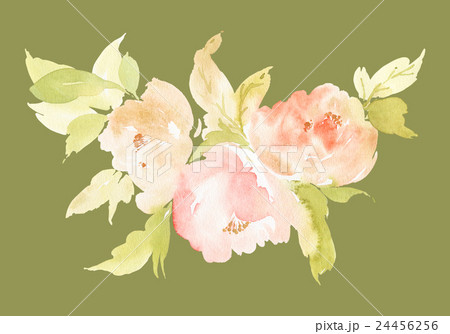 Flowers watercolor illustration 24456256