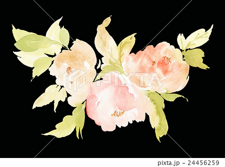 Flowers watercolor illustration 24456259