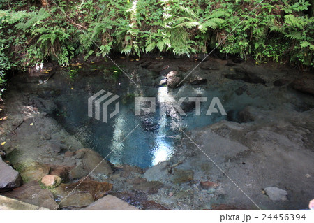 男池湧水群 24456394