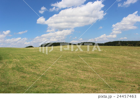 牧場と青空 24457463