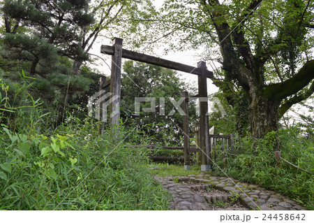 後閑城　本丸の模擬冠木門 24458642