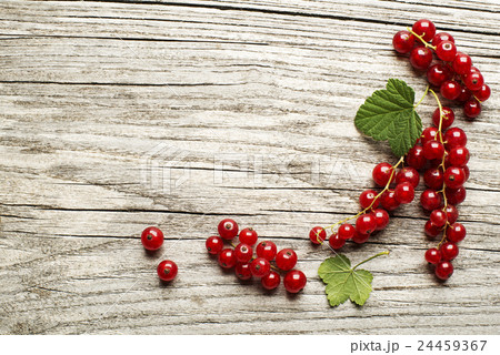 Currant Currant 24459367