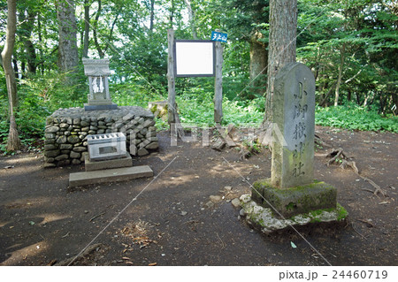 河口湖の天上山山頂の小御嶽神社(山梨県富士河口湖町) 河口湖の天上山山頂の小御嶽神社(山梨県富士河口湖町) 24460719