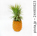 新鮮な果物パイナップル 24460823