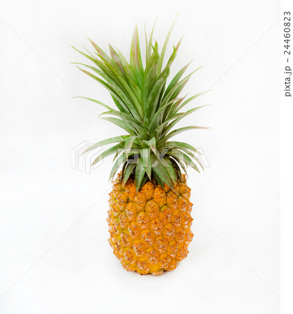 新鮮な果物パイナップル 24460823
