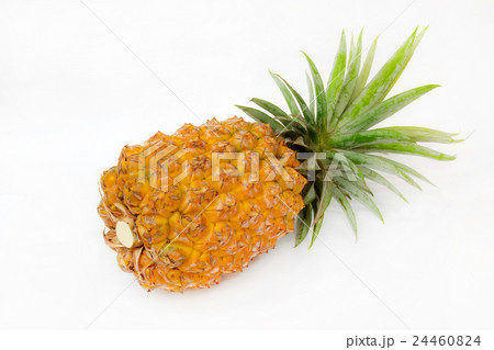 新鮮な果物パイナップル 24460824