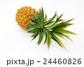 新鮮な果物パイナップル 24460826