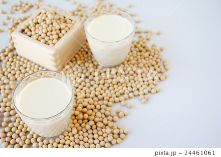 豆乳 24461061
