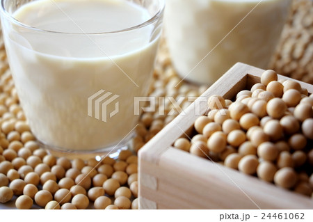 豆乳 豆乳 24461062