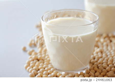 豆乳 豆乳 24461063