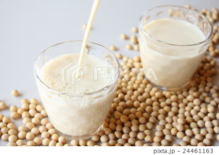 豆乳 24461163