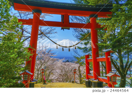 富士山と鳥居 24464564