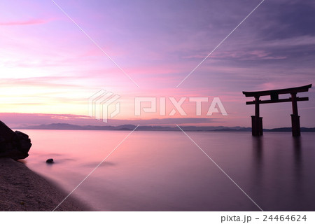 湖上の鳥居 24464624