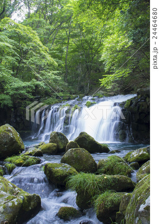 おしどり隠しの滝 24464680