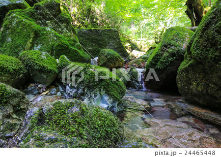 愛媛県内子町　小田深山渓谷　尻無川上流の風景 24465448