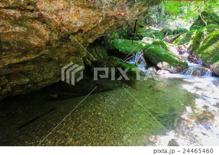 愛媛県内子町 小田深山渓谷 尻無川上流の風景 愛媛県内子町 小田深山渓谷 尻無川上流の風景 24465460