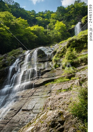 程野の滝 東滝(高知県いの町) 程野の滝 東滝(高知県いの町) 24465599