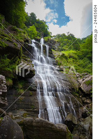 程野の滝　東滝（高知県いの町） 24465604