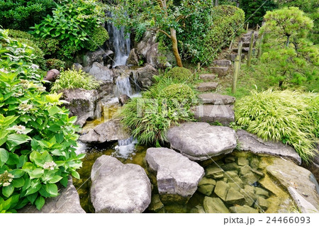 庭園の滝 24466093
