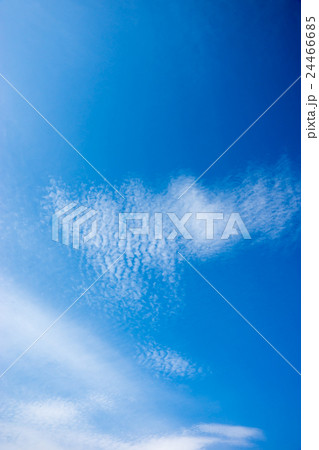 秋の空　うろこ雲 24466685