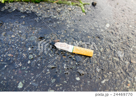 たばこのポイ捨て 24469770