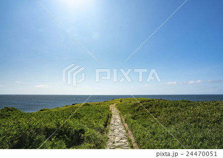 牧崎風の公園　角島 24470051