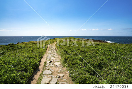 牧崎風の公園　角島 24470053