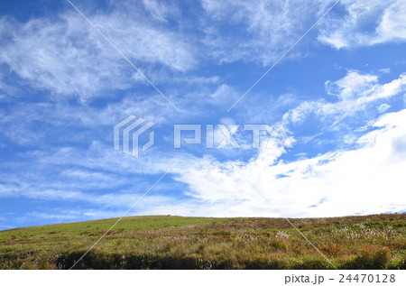 車山高原の秋 24470128