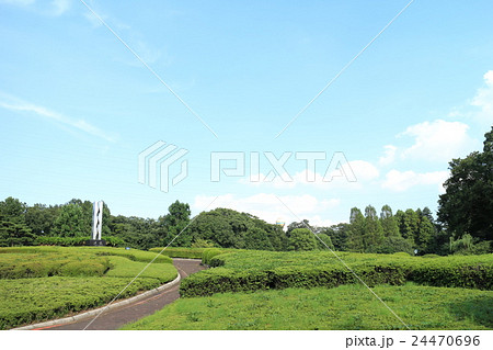 早秋の川口グリーンセンター 早秋の川口グリーンセンター 24470696