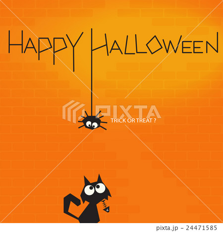 Spider and cat in halloween background 24471585