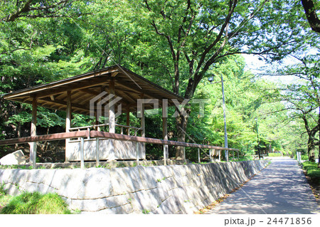 江戸川公園 24471856