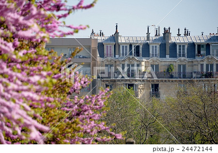 パリの街角から-1 パリの街角から-1 24472144