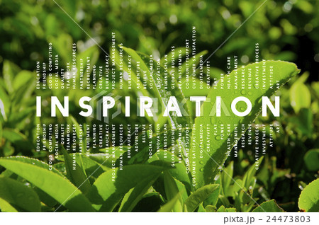 Inspiration Dream Imagination Creative Inspire Concept 24473803