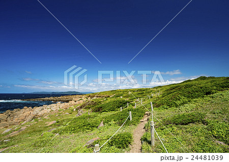 牧崎風の公園 角島 牧崎風の公園 角島 24481039