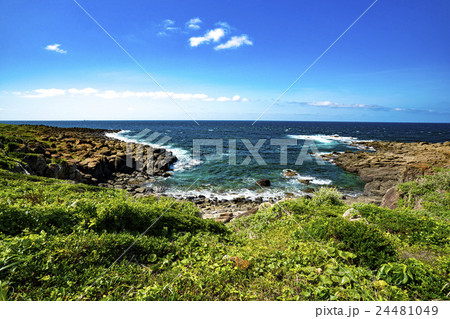 牧崎風の公園　角島 24481049