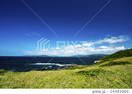 牧崎風の公園 角島 牧崎風の公園 角島 24481060
