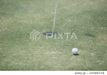 Japanese woman golfer , housewife Japanese woman golfer , housewife 24486548
