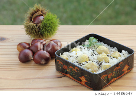 栗ご飯 栗ご飯 24486647