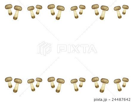 アガリクスのフレーム 24487642