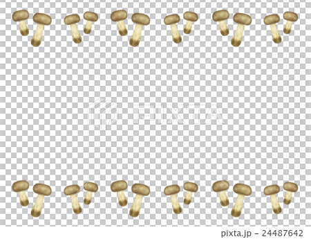 アガリクスのフレーム 24487642