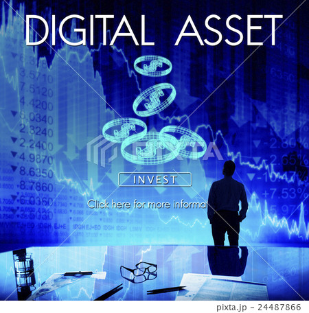 Digital Asset Data Information Value Electronic Concept Digital Asset Data Information Value Electronic Concept 24487866