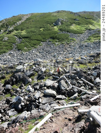 浄土山の登山口を行く登山者 浄土山の登山口を行く登山者 24489201