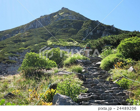 室堂山の登山道 24489206
