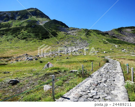 室堂山の登山道 24489211