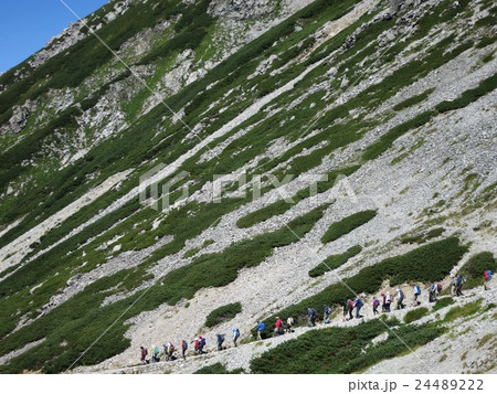 雄大な立山を登山する人々 24489222