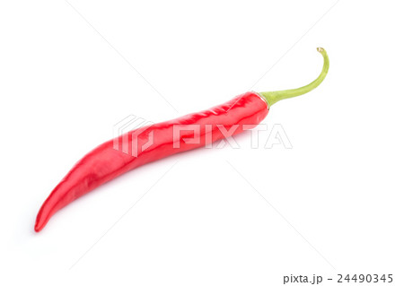 Fresh Thai chili isolated on white background Fresh Thai chili isolated on white background 24490345